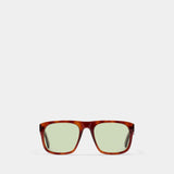 Navigator Sunglasses - TOTEME - Acetate - Brown