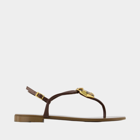 Muse Sandals - Giuseppe Zanotti - Leather - Brown