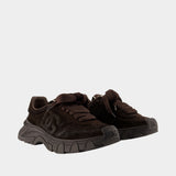 Dg Country Road Sneakers - Dolce&Gabbana - Leather - Brown