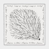 Le Foulard Herisson - Jacquemus - Silk - Black