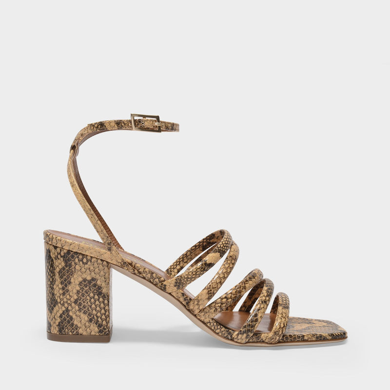 Carla Sandal 70 Sandals in Miele Printed Leather