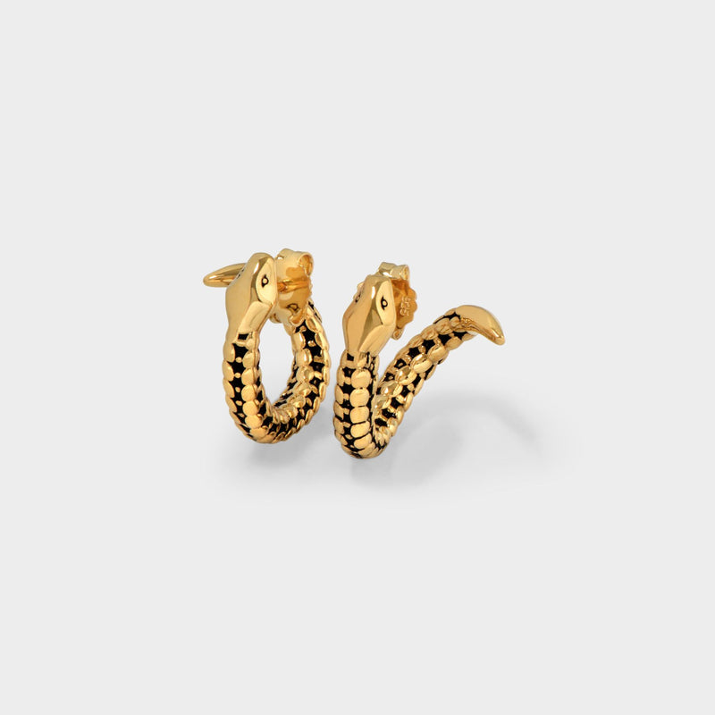Tao Earrings in Gold Metal